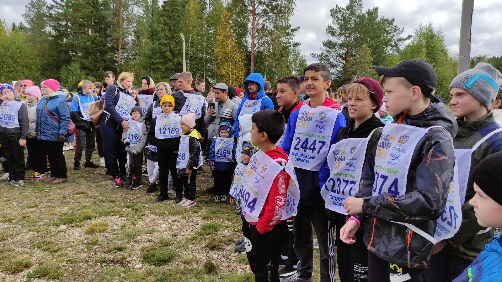 Прогноз погоды в кировграде на 14 дней