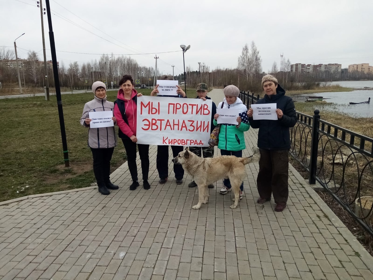 Грозит ли бродячим животным «гуманная эвтаназия»? | 05.05.2023 | Кировград  - БезФормата